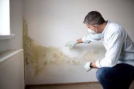 Best Post-Construction Mold Inspection in USA